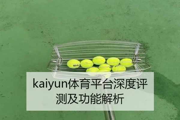kaiyun体育平台深度评测及功能解析
